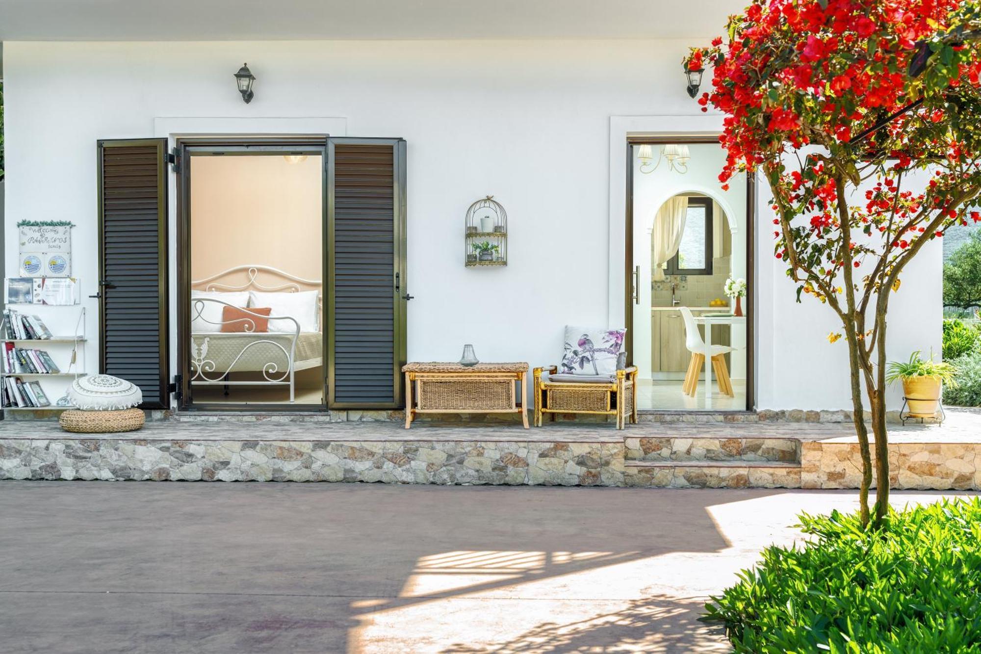 Patrinos * Alykanas (Zakynthos)