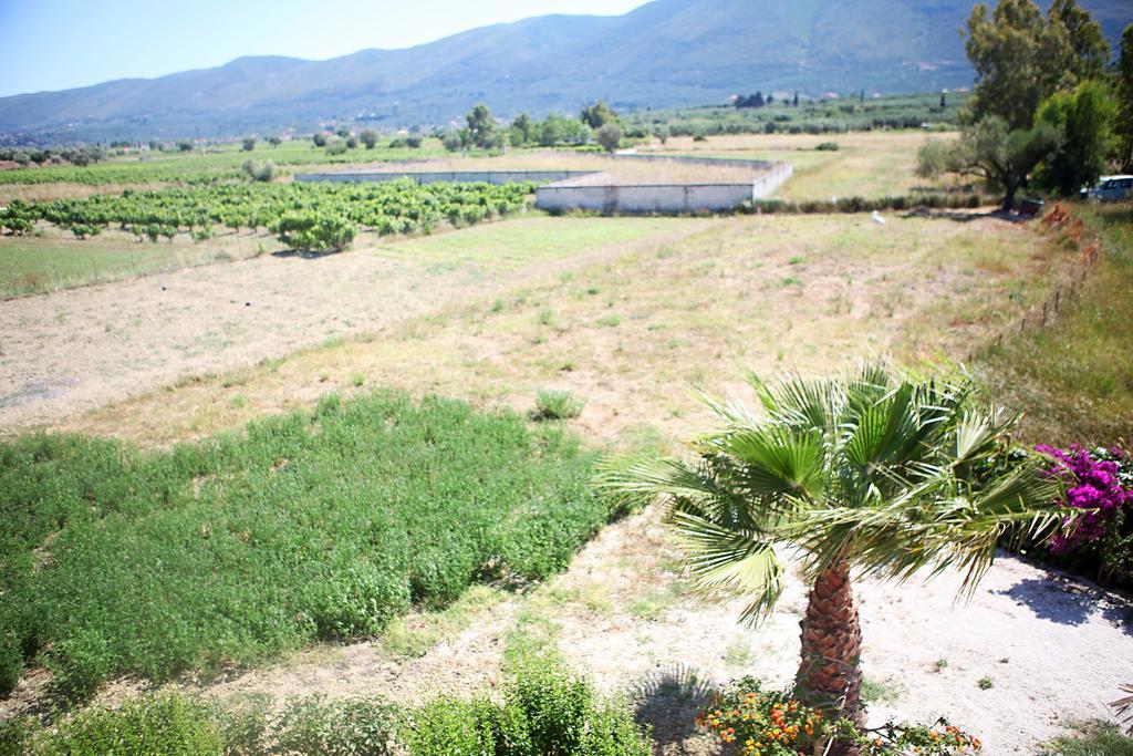 Appartement Patrinos *